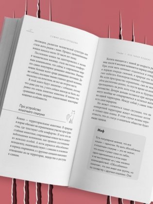 Кошачий закон и порядок. Как найти общий язык с кошкой и не стать жертвой ее капризов фото книги 5
