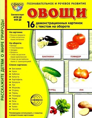 Овощи. 16 демонстрационных картинок с текстом фото книги