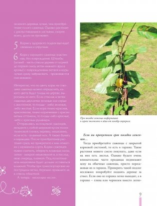 Дачные секреты от Ольги Платоновой фото книги 8