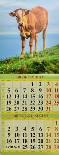 Символ года. Вид 2. Календарь настенный перекидной на скрепке на 2021 год фото книги 3