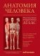 Анатомия человека:атлас фото книги маленькое 2