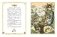 Сорочьи сказки фото книги маленькое 6
