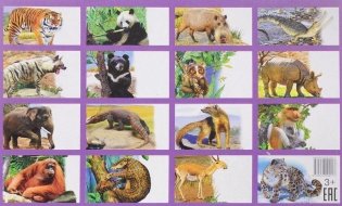Обучающие карточки Животные Азии фото книги 2