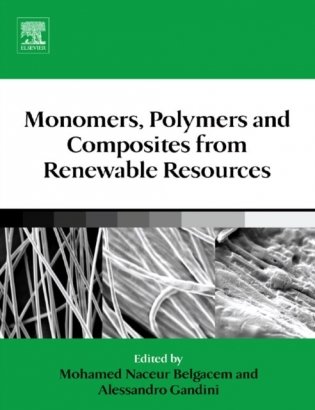 Monomers, Polymers and Composites from Renewable Resources, фото книги