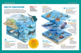 Животный мир морей и океанов. Детская энциклопедия фото книги 5