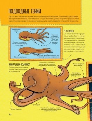 Энциклопедия животных: на суше, под водой и в воздухе фото книги 9
