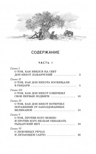 Дон Кихот фото книги 2