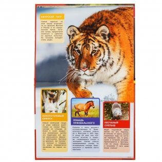 Исчезающие животные. Энциклопедия с развивающими заданиями фото книги 4