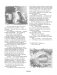 Лучшие сказки Ганса Христиана Андерсена с иллюстрациями Кристиана Бирмингема фото книги маленькое 9