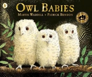 Owl Babies фото книги