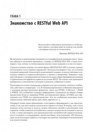 RESTful Web API паттерны и практики фото книги 8
