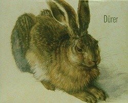 Dürer. 5 Kunst-Poster фото книги