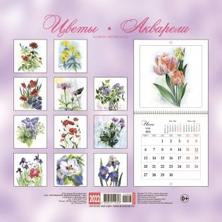 Календарь на 2022 год "Цветы. Акварели" (КР23-22026) фото книги 2