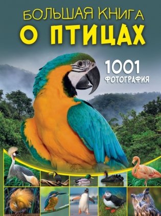 Большая книга о птицах. 1001 фотография фото книги