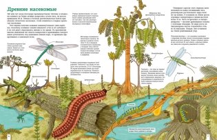 Планета динозавров. Иллюстрированный атлас фото книги 4