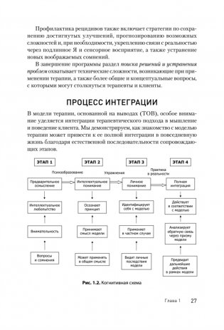 Клиническое руководство по обсессивно-компульсивному расстройству фото книги 11