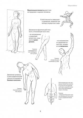 Анатомия движения: человеческое тело фото книги 6