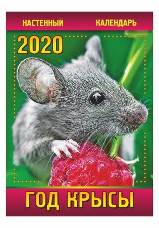 Календарь настенный "Год крысы" на 2020 год фото книги