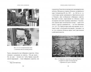 Признания египтолога. Утраченные библиотеки, исчезнувшие лабиринты и неожиданная правда под сводами пирамид в Саккаре фото книги 6