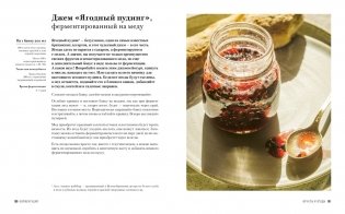 Ферментация. Вкусные и полезные рецепты на каждый день фото книги 7