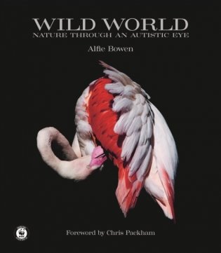 Wild World фото книги