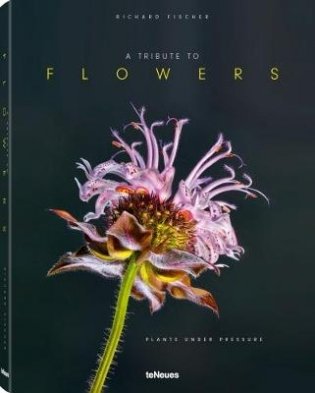 A Tribute to Flowers. Plants under Pressure фото книги