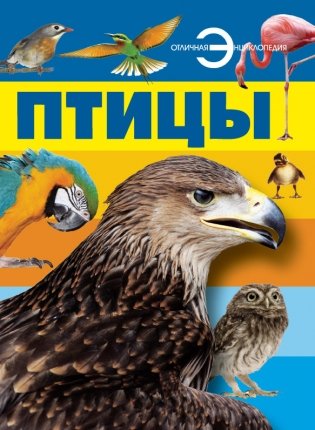 Птицы фото книги