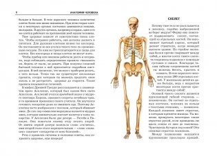 Анатомия человека. Школьный путеводитель фото книги 2