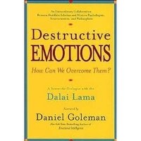 Destructive Emotions фото книги