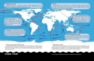Что? Как? Почему? Мои первые знания про МОРЯ И ОКЕАНЫ (с постером) фото книги 6