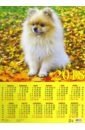 Календарь настенный на 2018 год "Год собаки. Померанский шпиц" фото книги