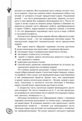 Большая энциклопедия виноградаря фото книги 11