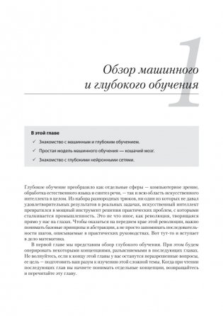 Математика и архитектура глубокого обучения фото книги 13
