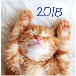 Календарь настенный на 2018 год "Счастливые моменты", на скрепке, 200x200 мм, 6 листов фото книги