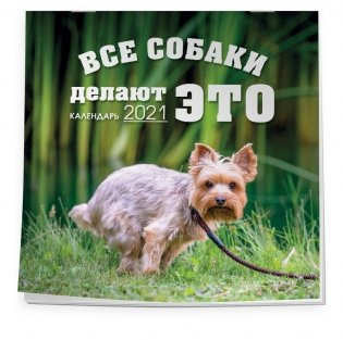 Все собаки делают ЭТО. Календарь настенный на 2021 год фото книги 4
