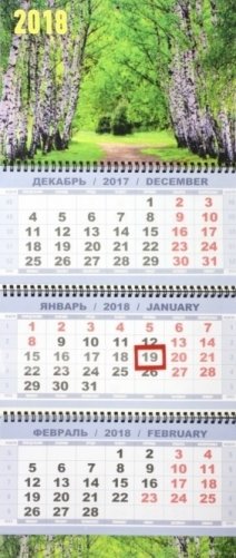 Квартальный календарь "Березы" на 2018 год фото книги