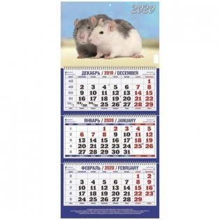 Календарь настенный квартальный трехблочный на 2020 год "Символ года. Вид 5", 310x685 мм фото книги
