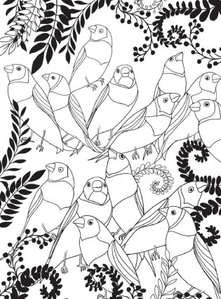 Райские птицы. Раскраска-антистресс для творчества и вдохновения фото книги 11