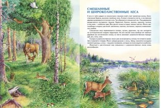 Природа России. Иллюстрированная энциклопедия фото книги 4