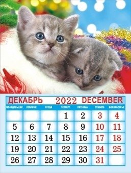 Календарь на магните на 2022 год "Кошки" фото книги 2