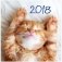 Календарь настенный на 2018 год "Счастливые моменты", на скрепке, 200x200 мм, 6 листов фото книги маленькое 2