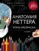 Анатомия Неттера. Атлас-раскраска фото книги маленькое 2