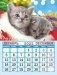 Календарь на магните на 2022 год "Кошки" фото книги маленькое 3