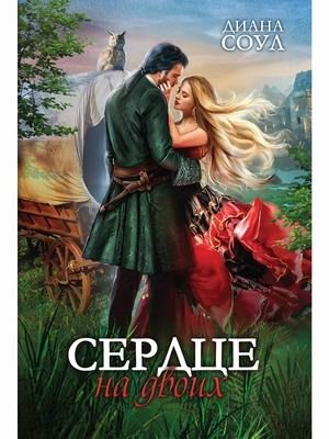 Сердце на двоих фото книги