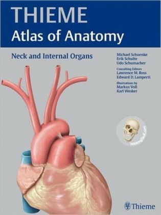 Neck and Internal Organs (THIEME Atlas of Anatomy) фото книги