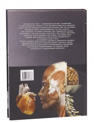 Атлас анатомии человека фото книги 11