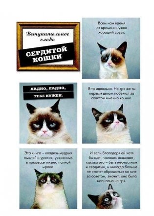 Grumpy Cat. Правила жизни самой сердитой кошки в мире фото книги 6