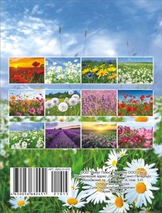 Календарь на магните на 2021 год "Полевые цветы" фото книги 2
