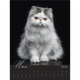 Загадочные кошки. Календарь настенный на пружине на 2021 год фото книги 7