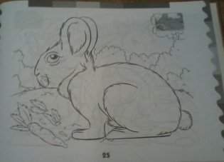 Раскраска со стикерами. Зверята фото книги 5